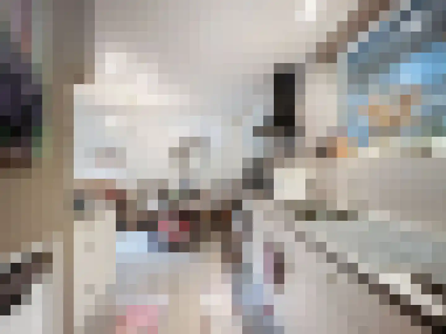 Komsestraat 3 IJzendijke thumbnail 10