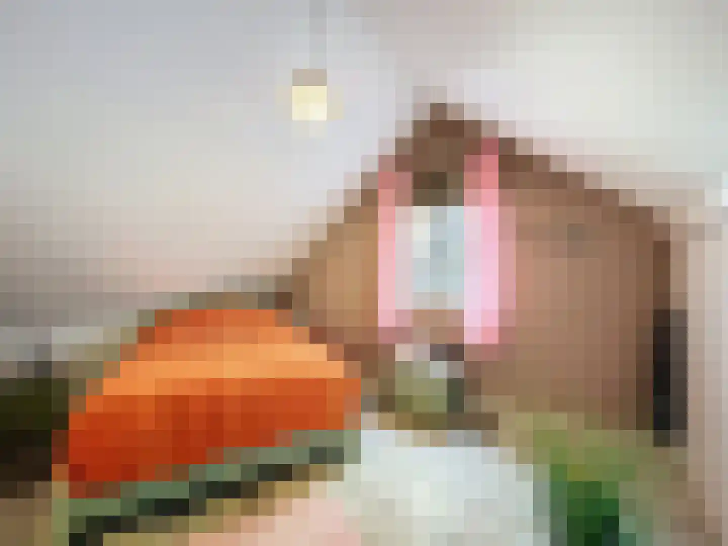 Komsestraat 3 IJzendijke thumbnail 16