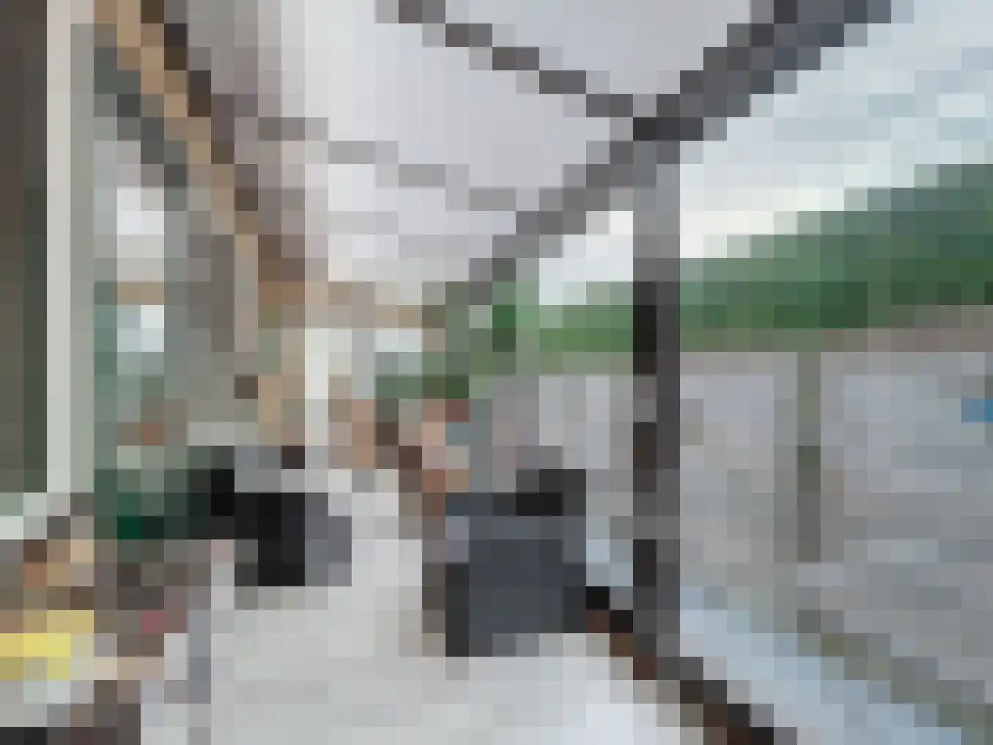 Komsestraat 3 IJzendijke thumbnail 20