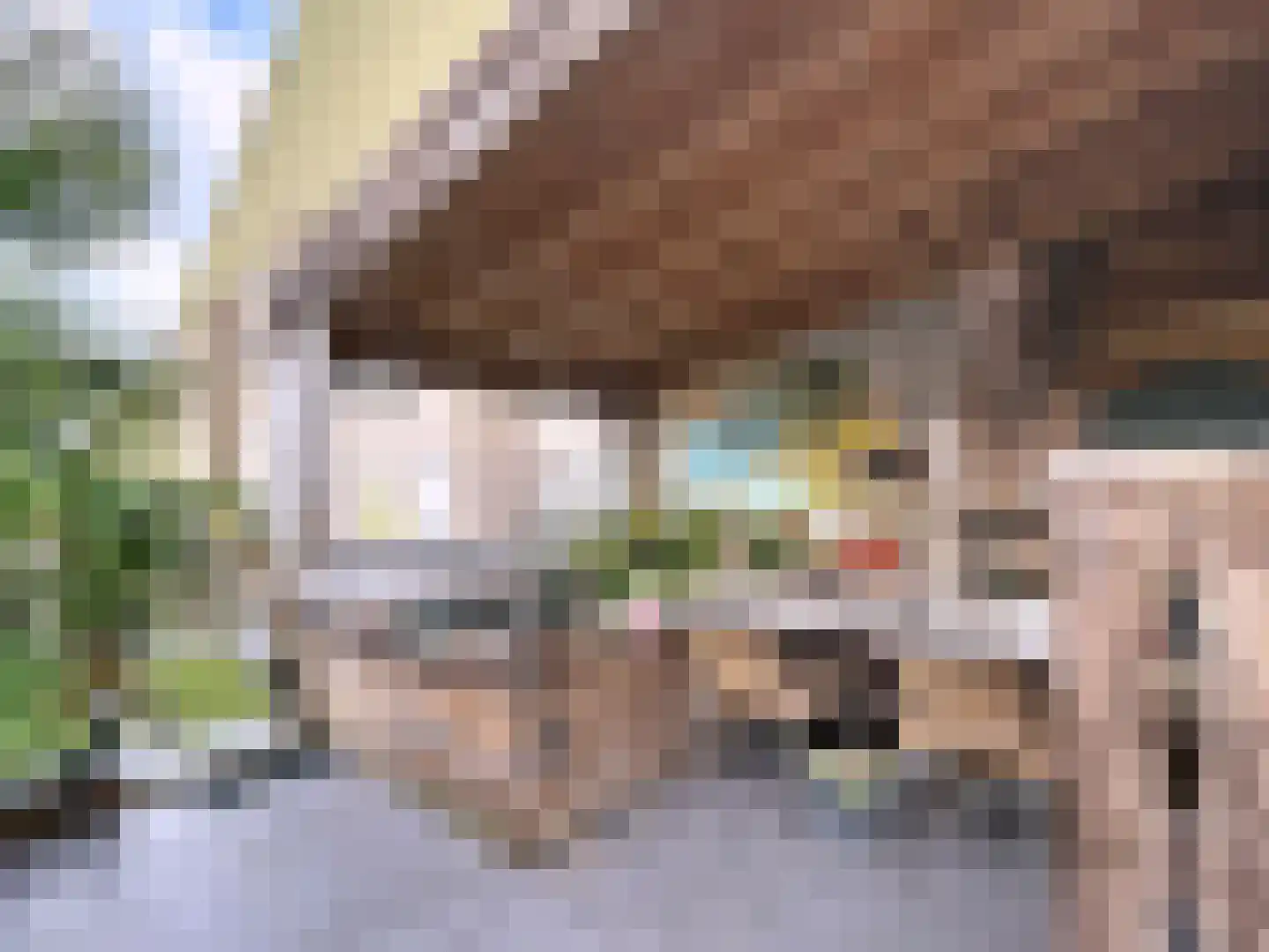 Komsestraat 3 IJzendijke thumbnail 21