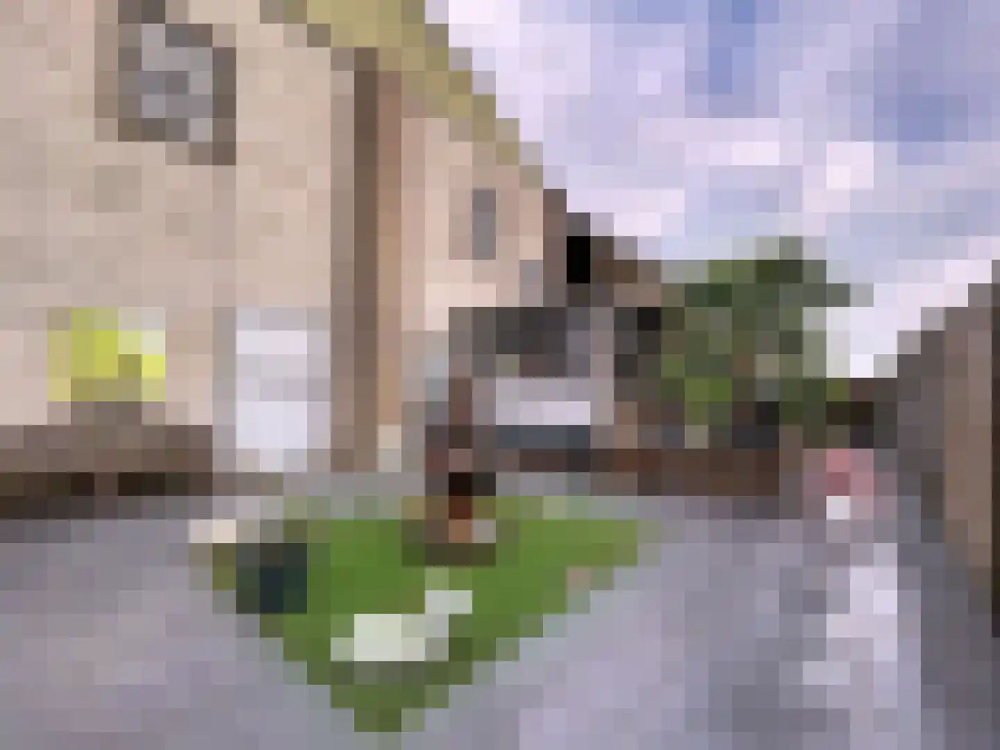 Komsestraat 3 IJzendijke thumbnail 22