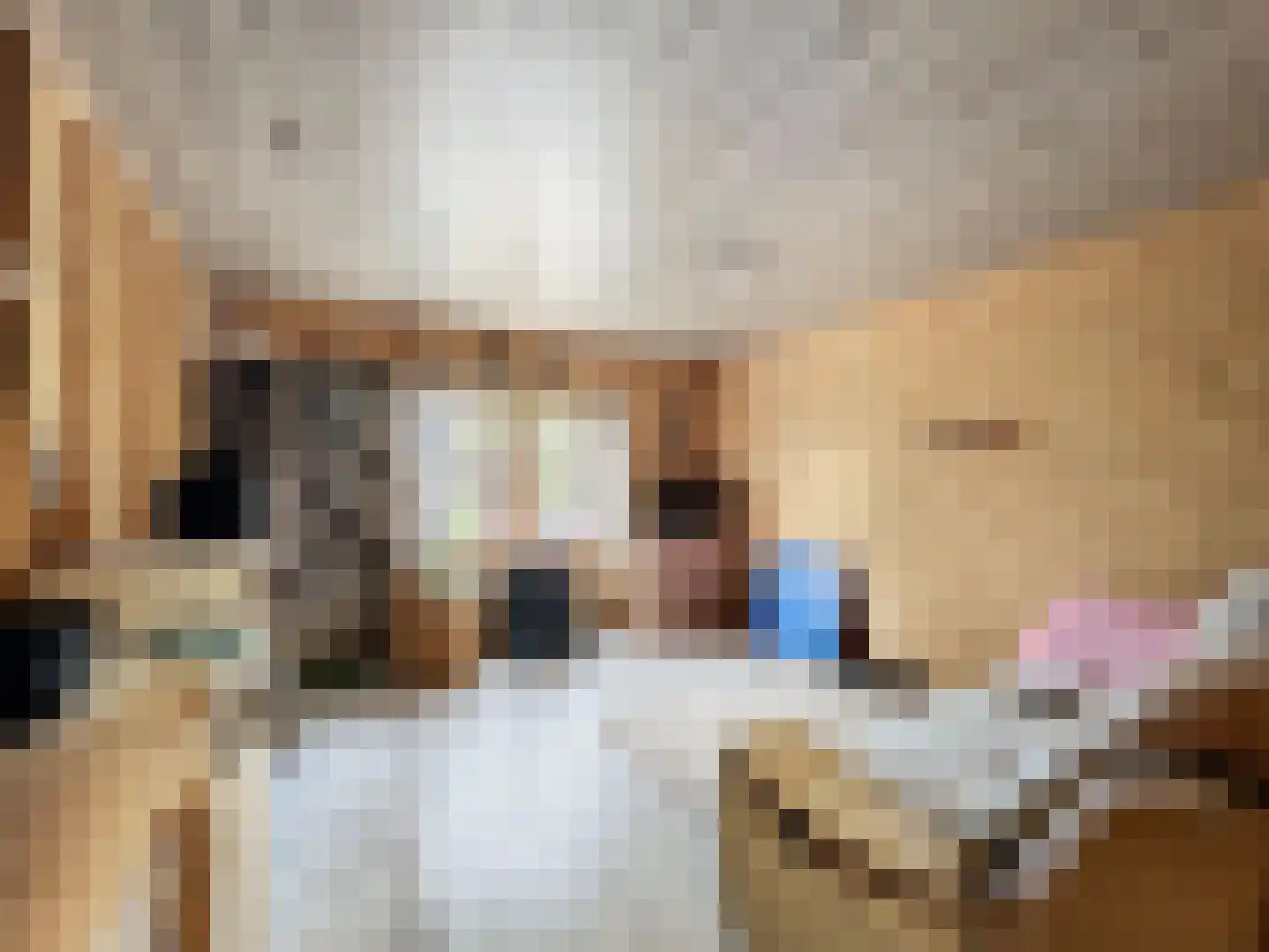 Komsestraat 3 IJzendijke thumbnail 30