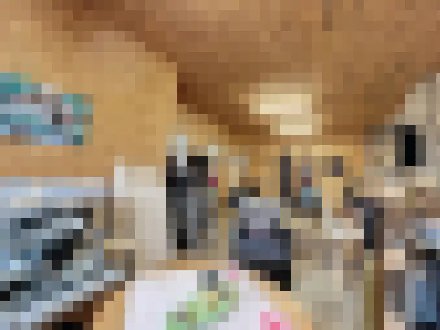 Komsestraat 3 IJzendijke thumbnail 33