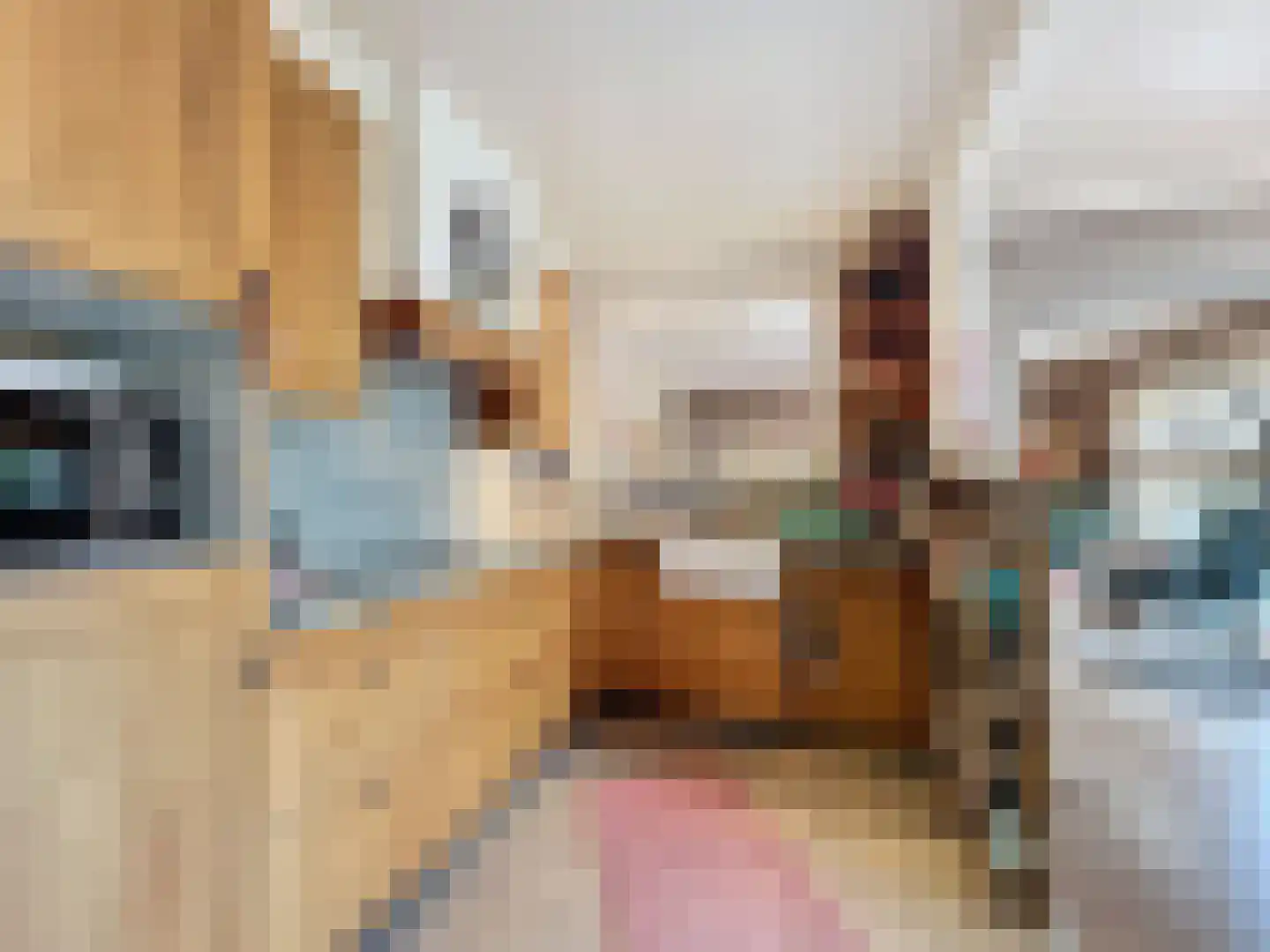 Komsestraat 3 IJzendijke thumbnail 7