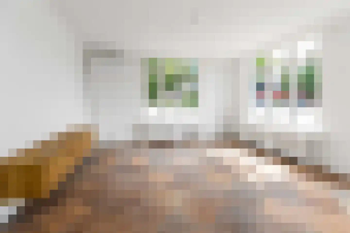 Komweg 3 Gemert thumbnail 8