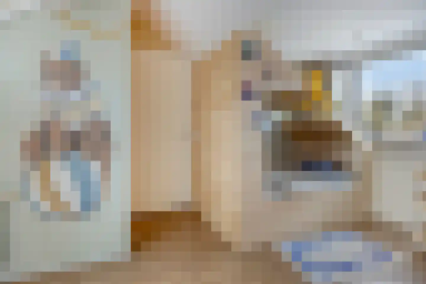 Komweisingel 11 Abbenbroek thumbnail 32