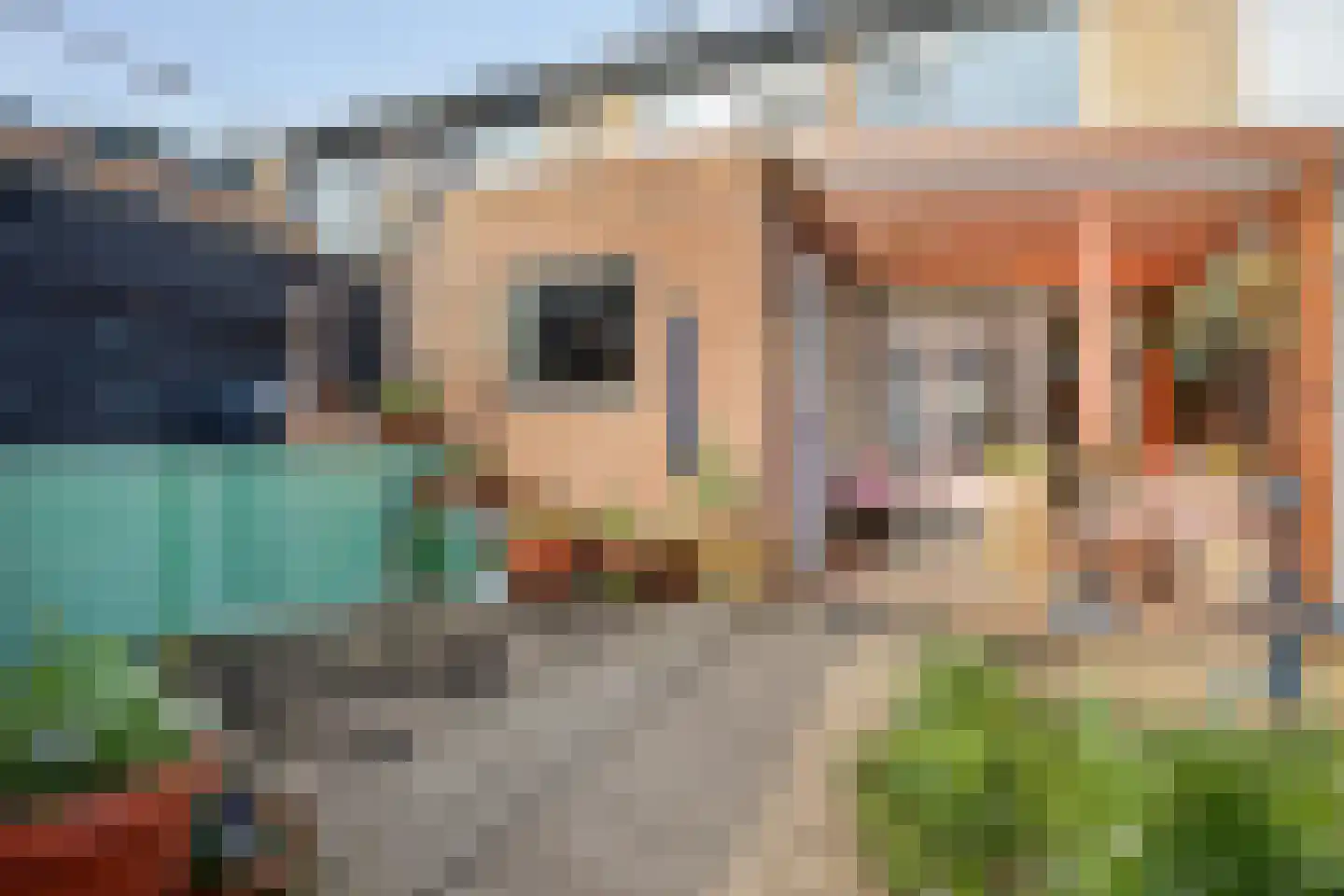 Komweisingel 11 Abbenbroek thumbnail 35