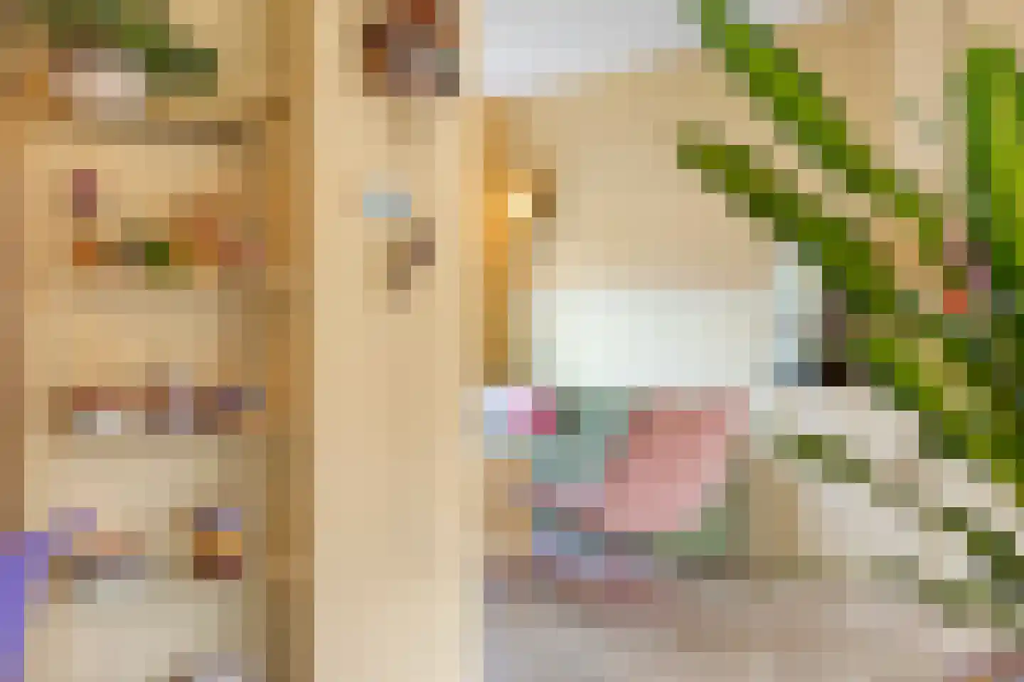 Komweisingel 11 Abbenbroek thumbnail 7