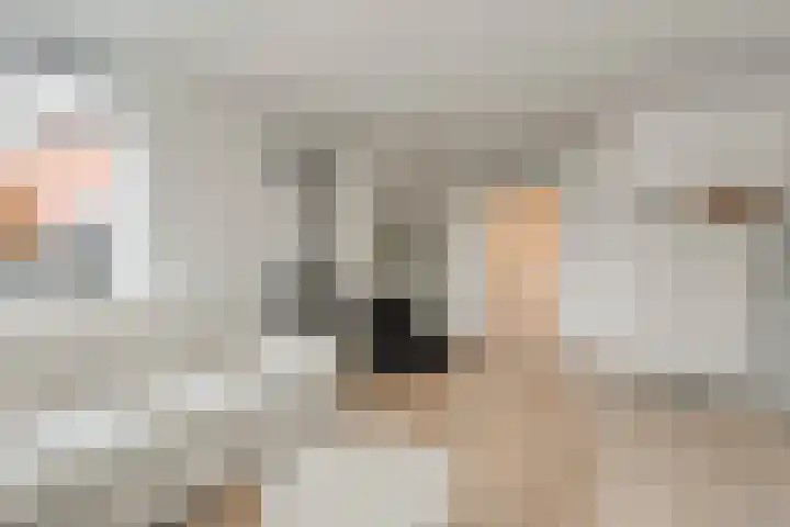 Kon.Julianalaan 133 Nieuwleusen thumbnail 10