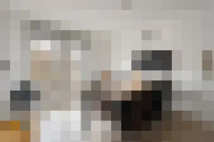 Kon.Julianalaan 133 Nieuwleusen thumbnail 12