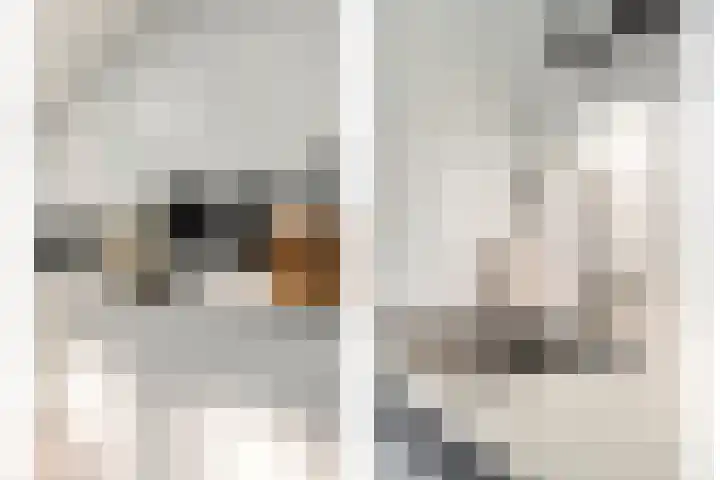 Kon.Julianalaan 133 Nieuwleusen thumbnail 16