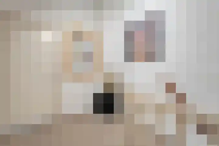 Kon.Julianalaan 133 Nieuwleusen thumbnail 19