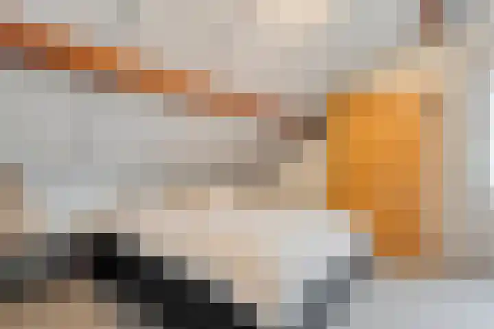 Kon.Julianalaan 133 Nieuwleusen thumbnail 20
