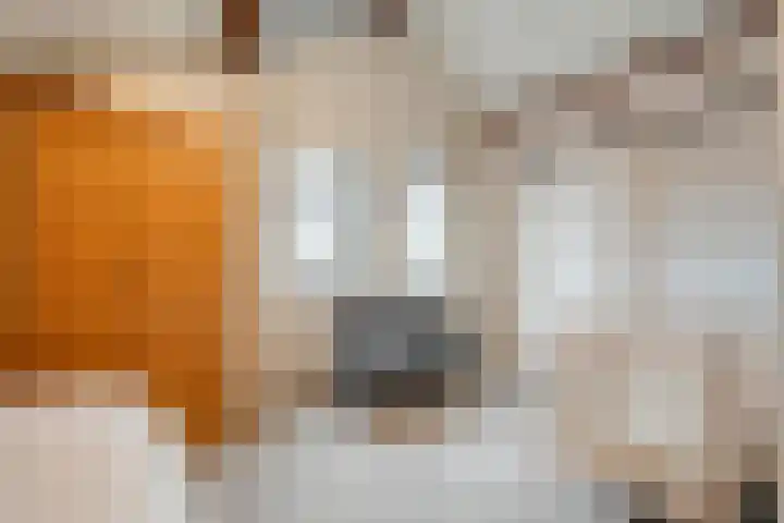 Kon.Julianalaan 133 Nieuwleusen thumbnail 21