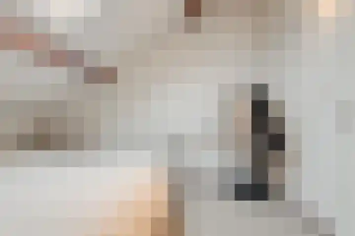 Kon.Julianalaan 133 Nieuwleusen thumbnail 24