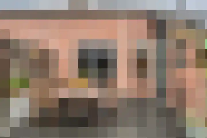 Kon.Julianalaan 133 Nieuwleusen thumbnail 27