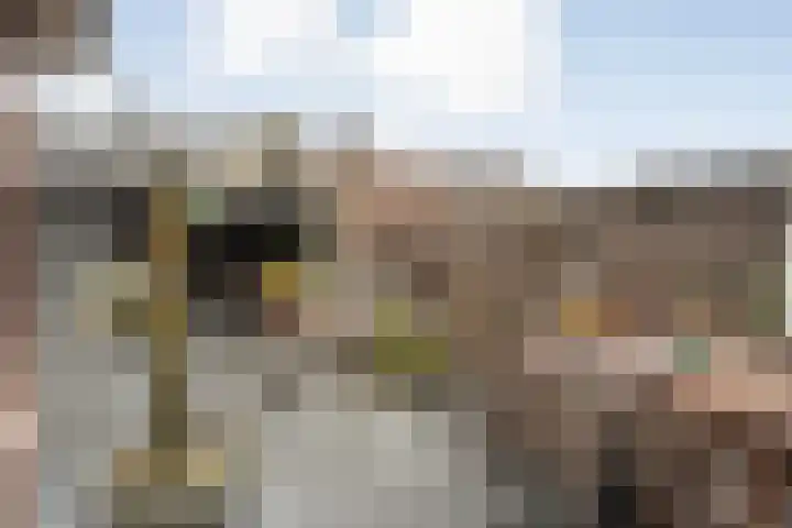 Kon.Julianalaan 133 Nieuwleusen thumbnail 28