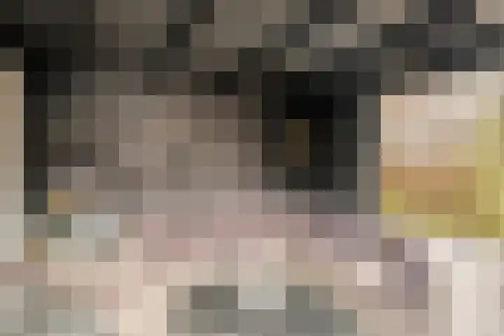 Kon.Julianalaan 133 Nieuwleusen thumbnail 32