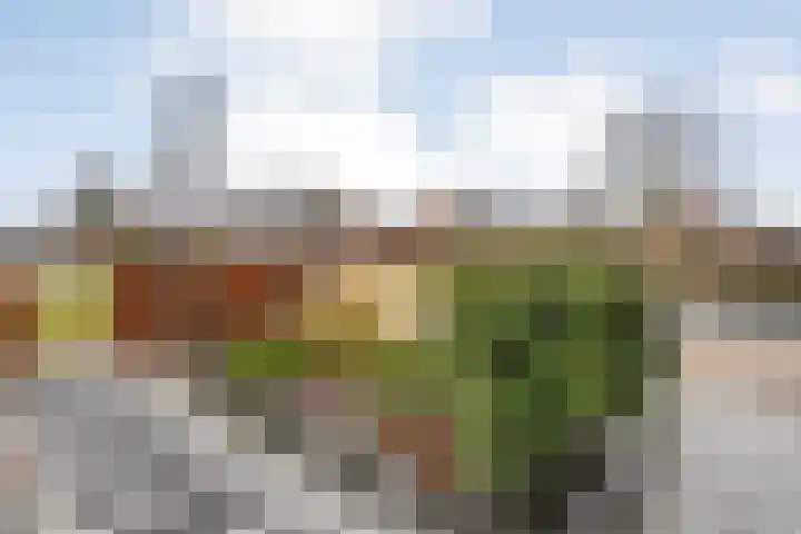 Kon.Julianalaan 133 Nieuwleusen thumbnail 35