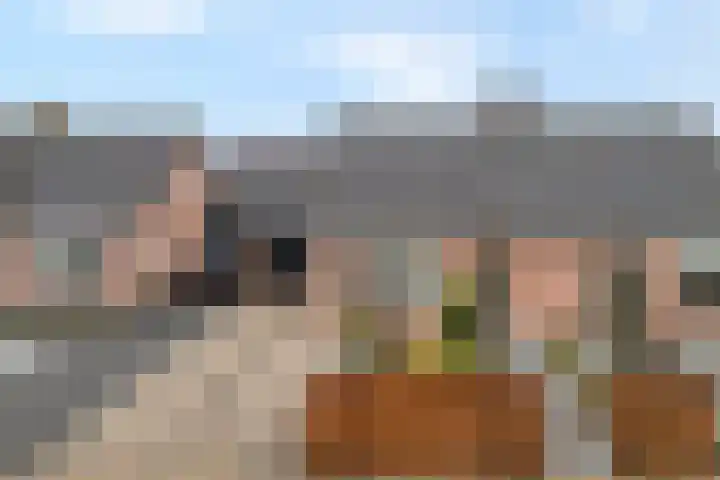 Kon.Julianalaan 133 Nieuwleusen thumbnail 36