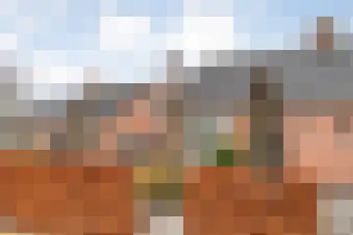 Kon.Julianalaan 133 Nieuwleusen thumbnail 37