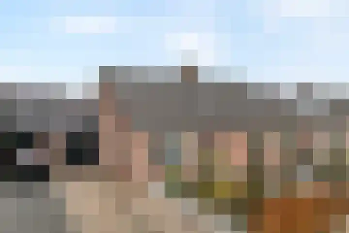 Kon.Julianalaan 133 Nieuwleusen thumbnail 38