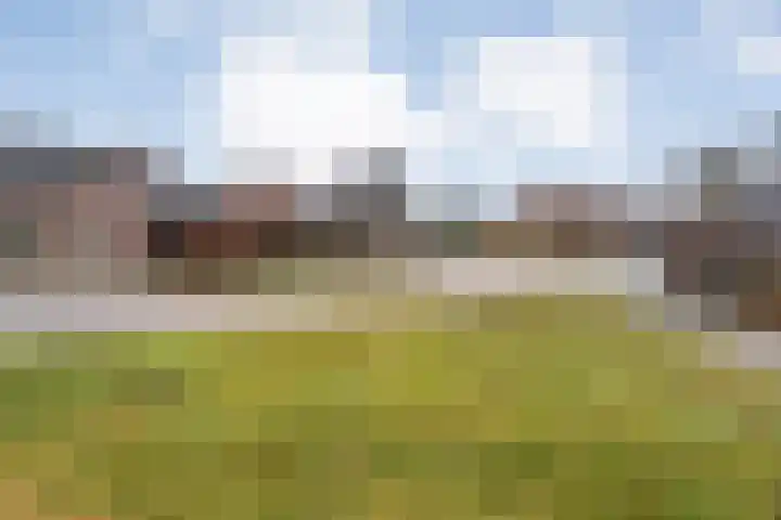 Kon.Julianalaan 133 Nieuwleusen thumbnail 40