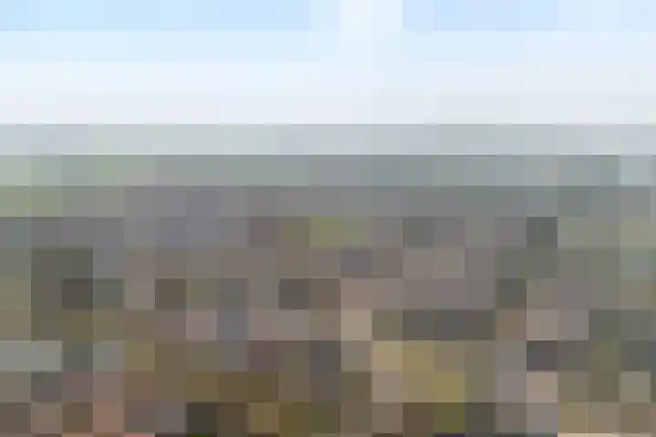 Kon.Julianalaan 133 Nieuwleusen thumbnail 42