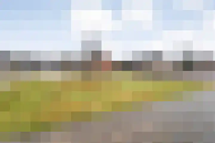 Kon.Julianalaan 133 Nieuwleusen thumbnail 5