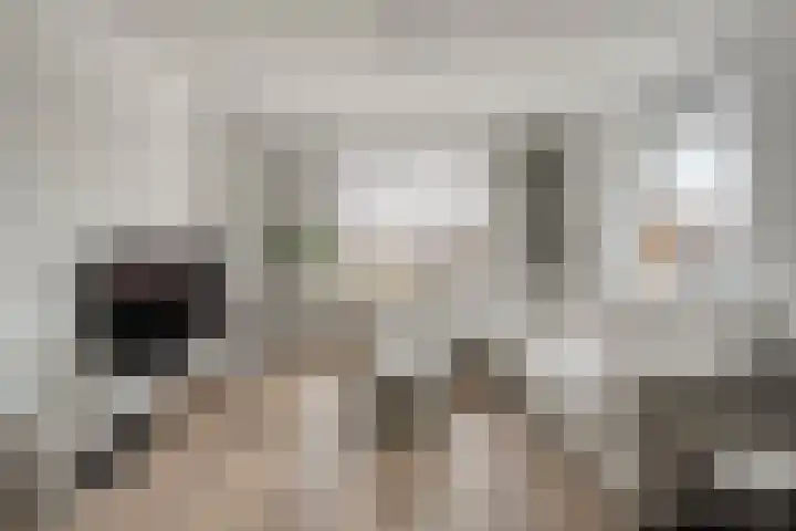 Kon.Julianalaan 133 Nieuwleusen thumbnail 9