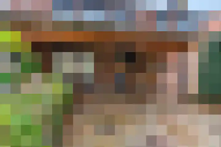 Kon Julianalaan 37 Amerongen thumbnail 20