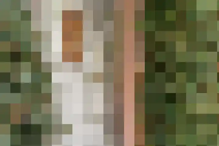 Kon Julianalaan 37 Amerongen thumbnail 25