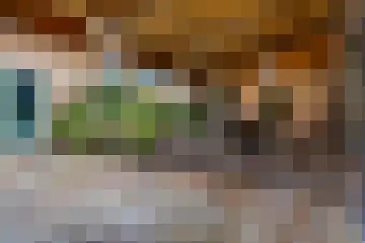 Kon Julianalaan 37 Amerongen thumbnail 27