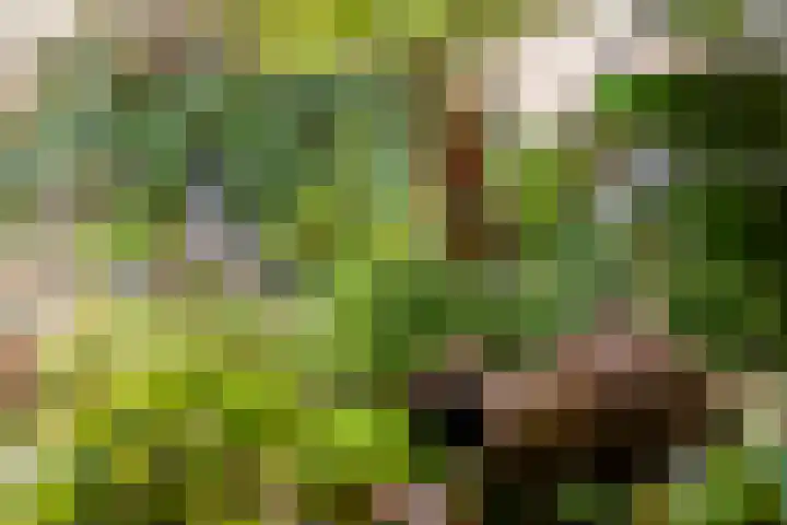 Kon Julianalaan 37 Amerongen thumbnail 28