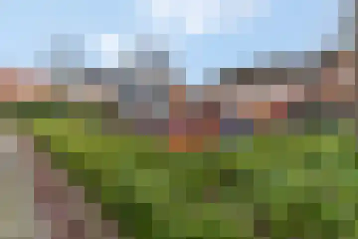 Kon Julianalaan 37 Amerongen thumbnail 32