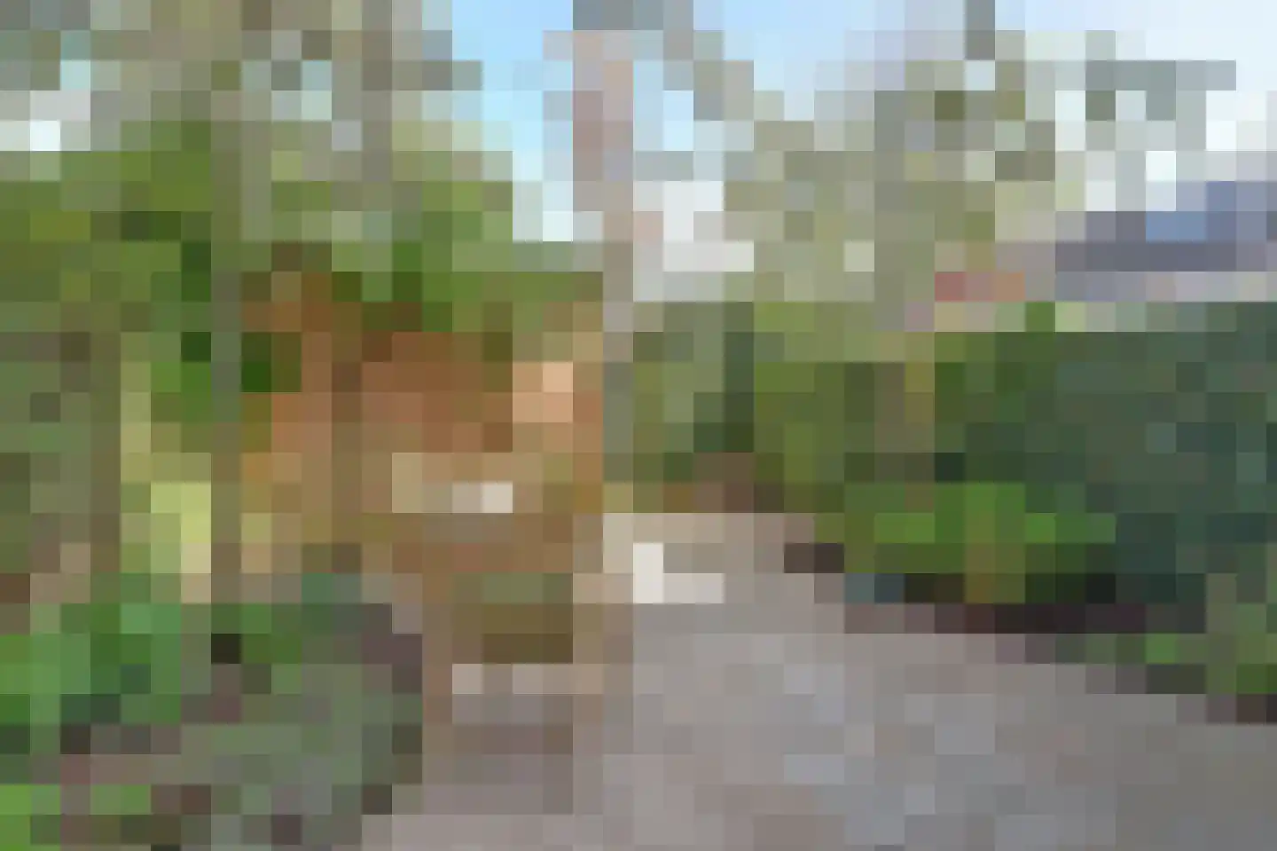 Kon Julianalaan 7 Amerongen thumbnail 23