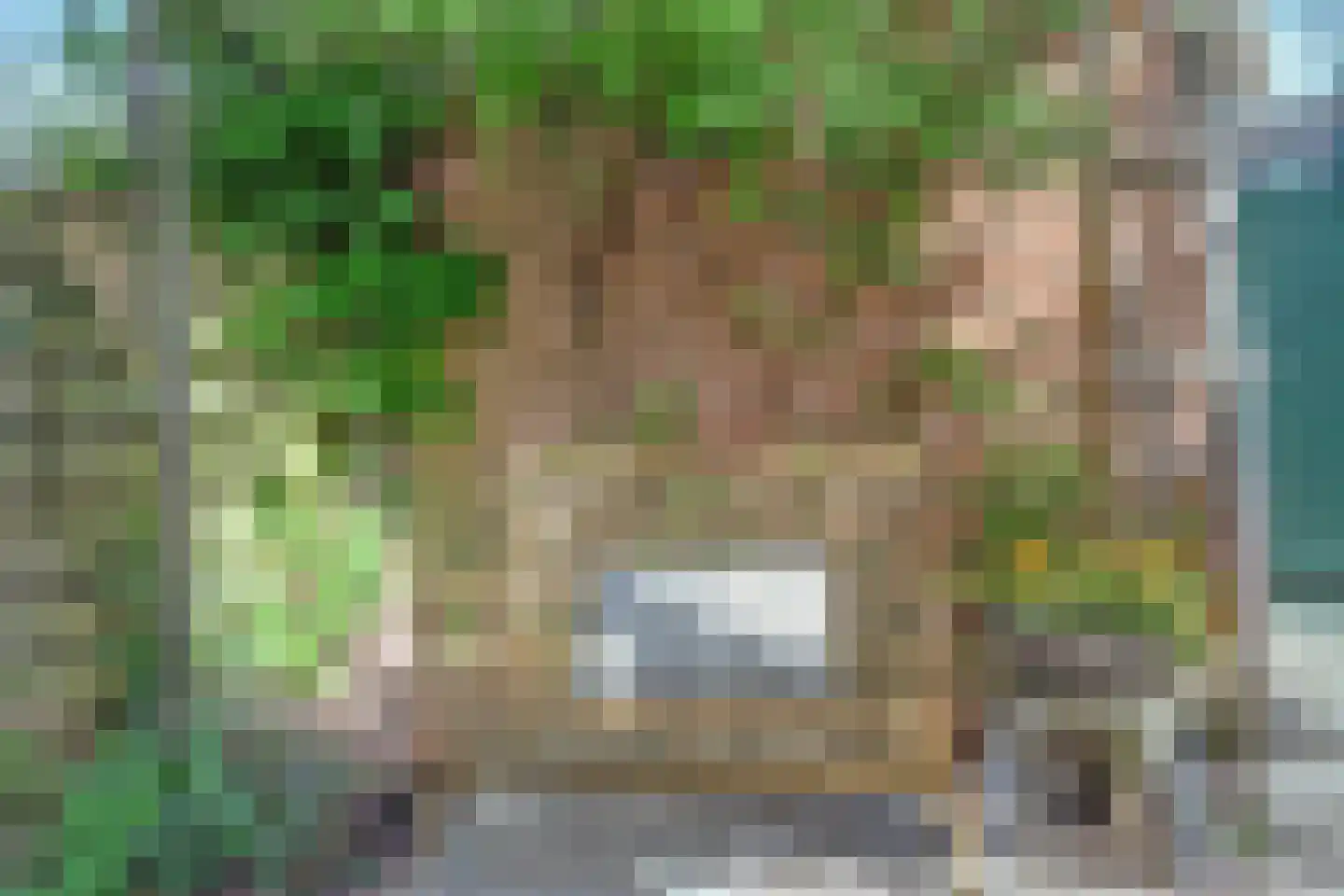 Kon Julianalaan 7 Amerongen thumbnail 24