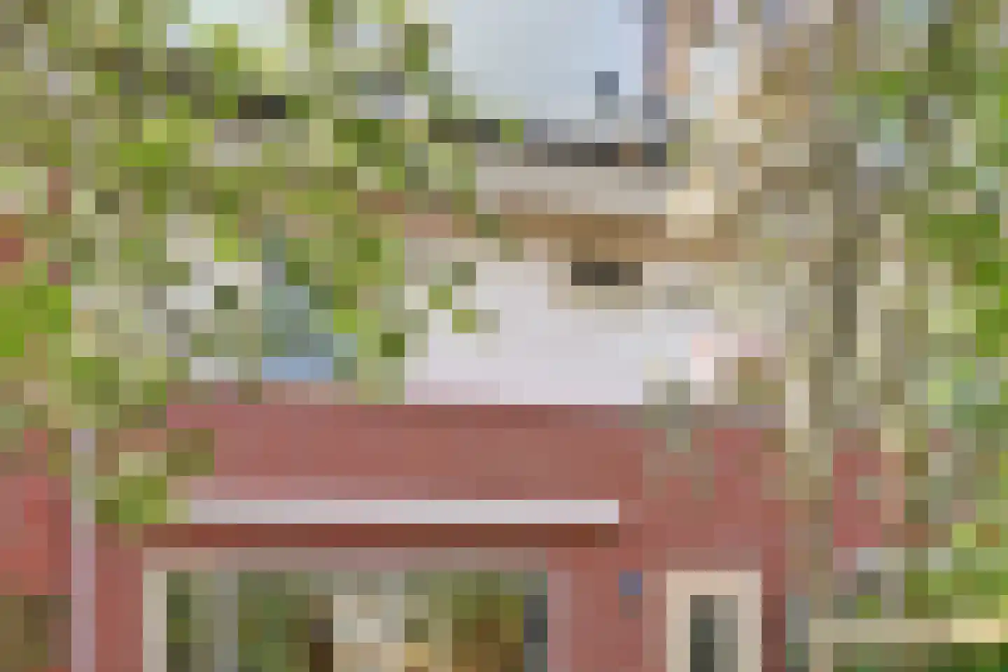 Kon Julianalaan 7 Amerongen thumbnail 25