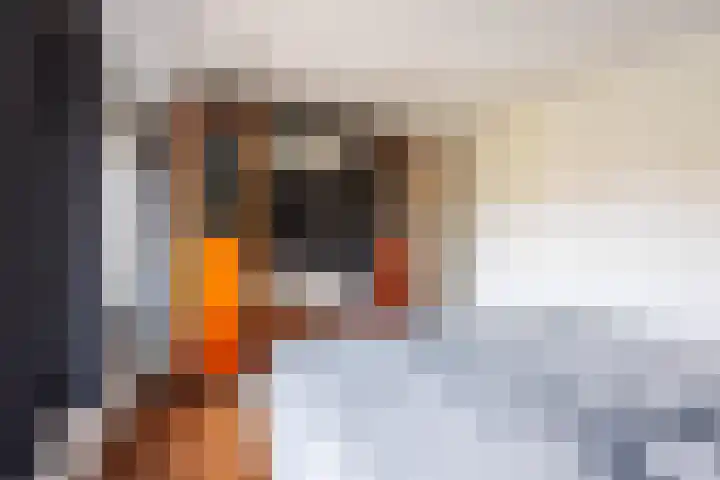 Kon Julianalaan 8 Amerongen thumbnail 14