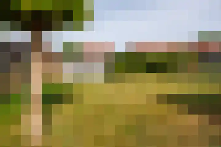 Kon Julianalaan 8 Amerongen thumbnail 26