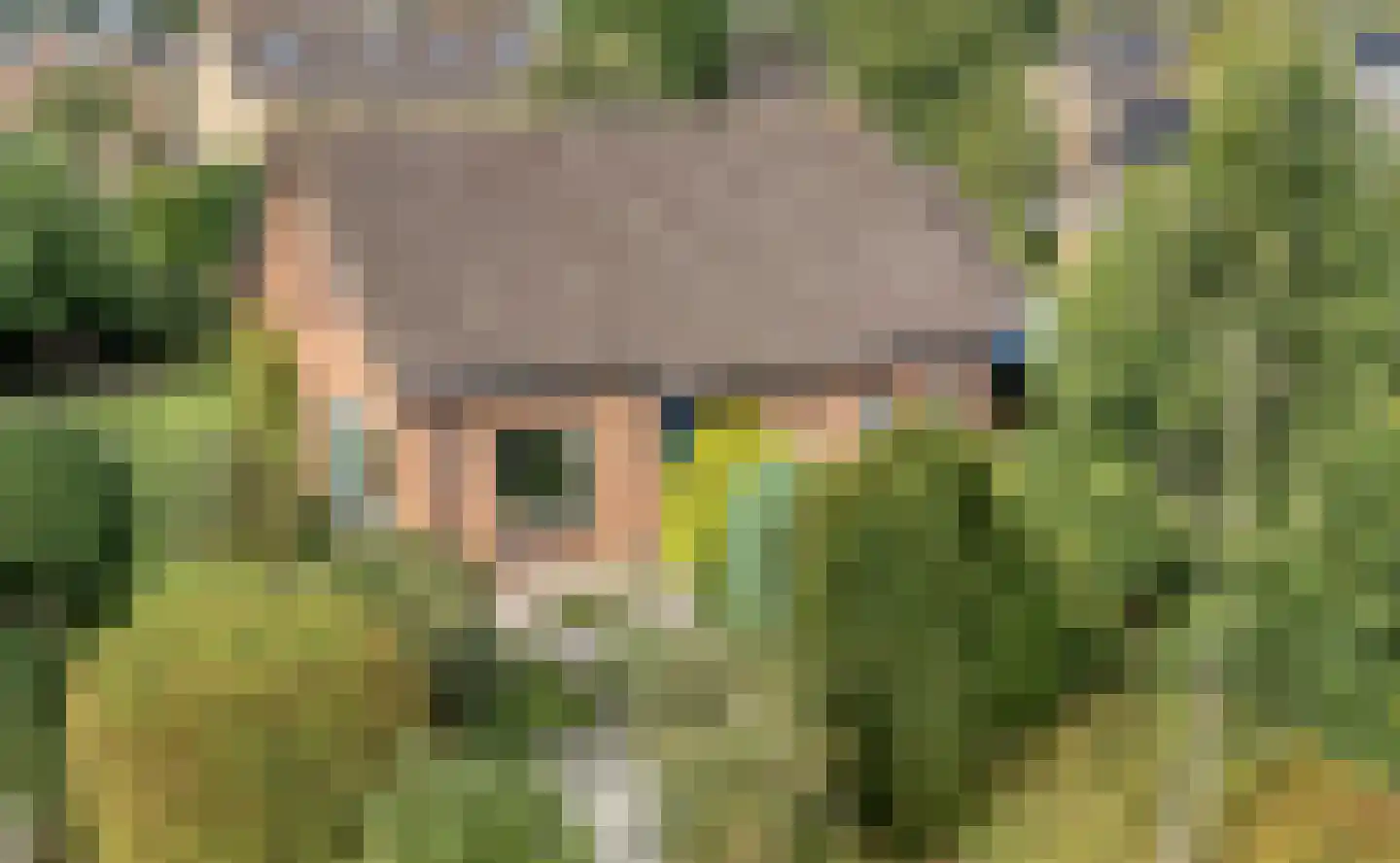 Kon.Julianalaan 81 Nieuwleusen