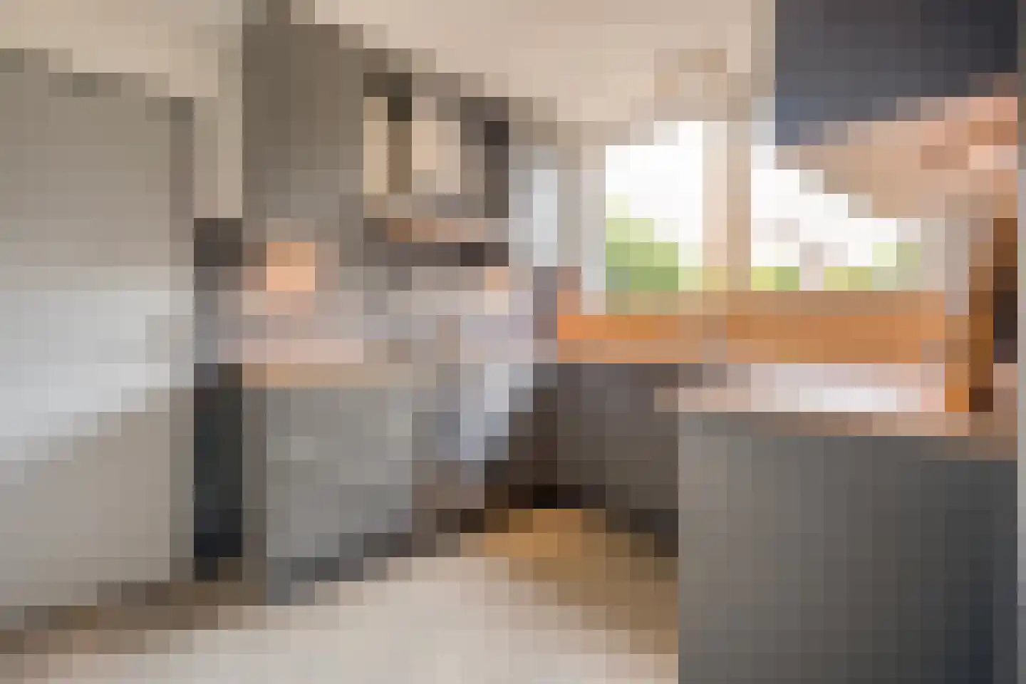 Kon.Julianalaan 81 Nieuwleusen thumbnail 15