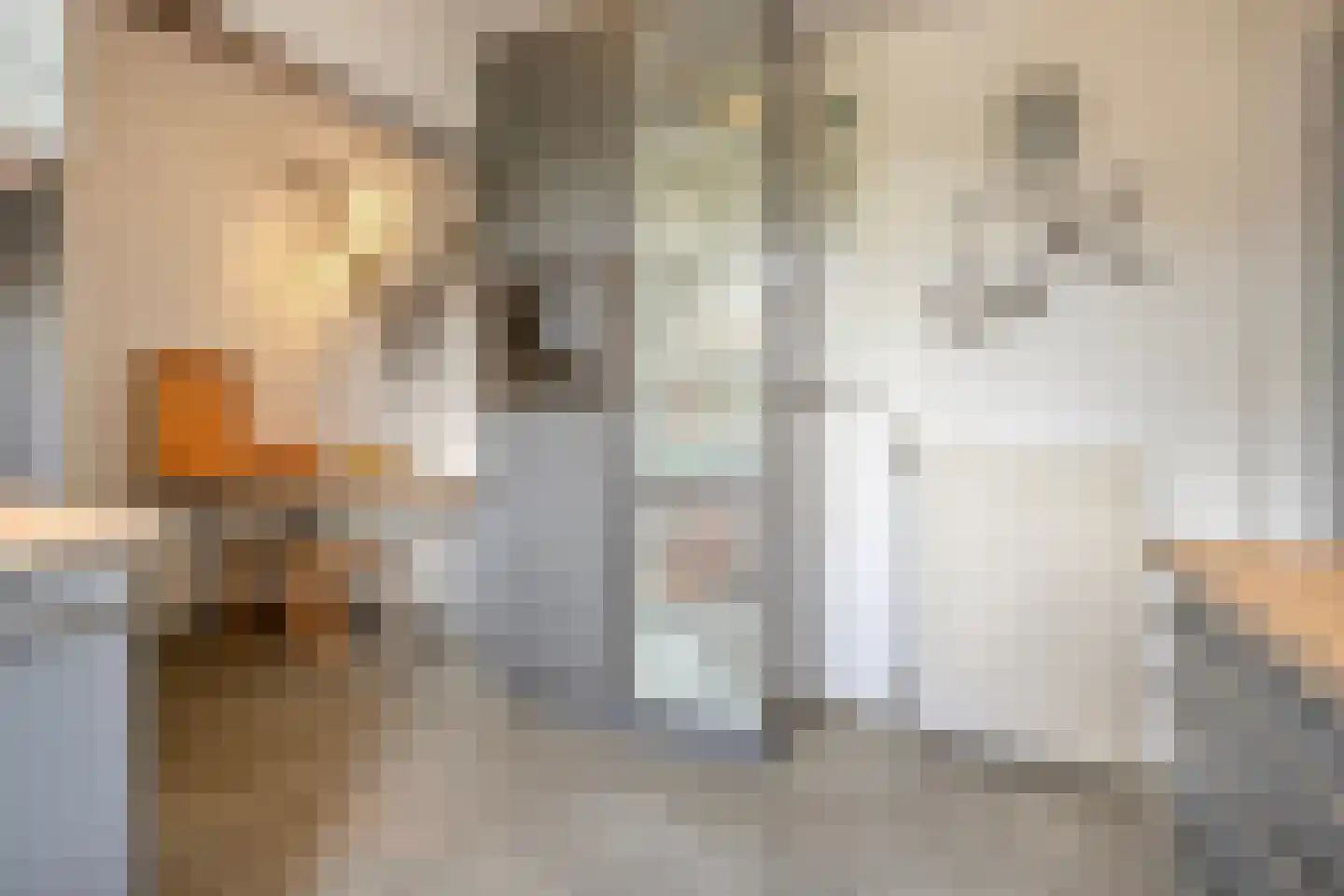 Kon.Julianalaan 81 Nieuwleusen thumbnail 17