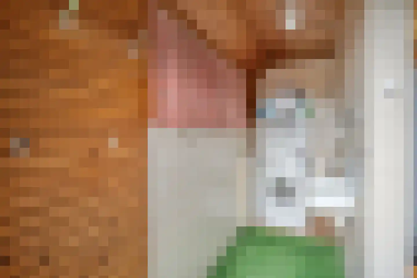 Kon.Julianalaan 81 Nieuwleusen thumbnail 21