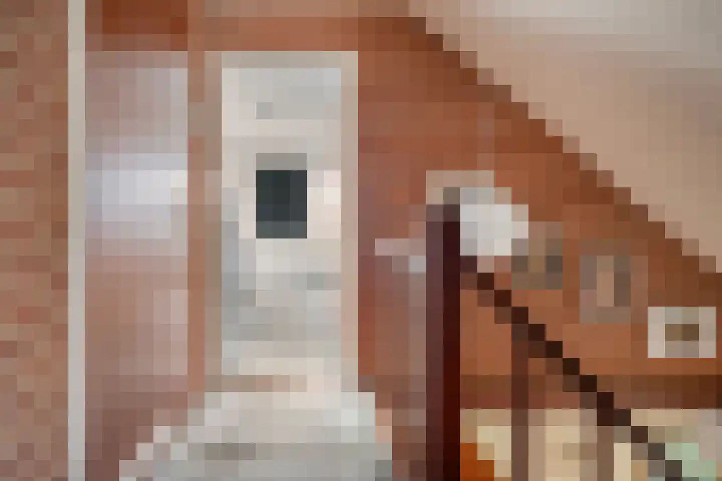 Kon.Julianalaan 81 Nieuwleusen thumbnail 23