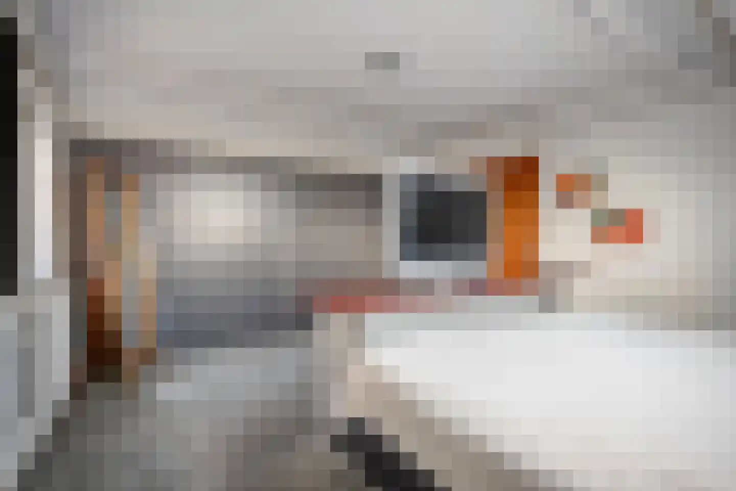 Kon.Julianalaan 81 Nieuwleusen thumbnail 27