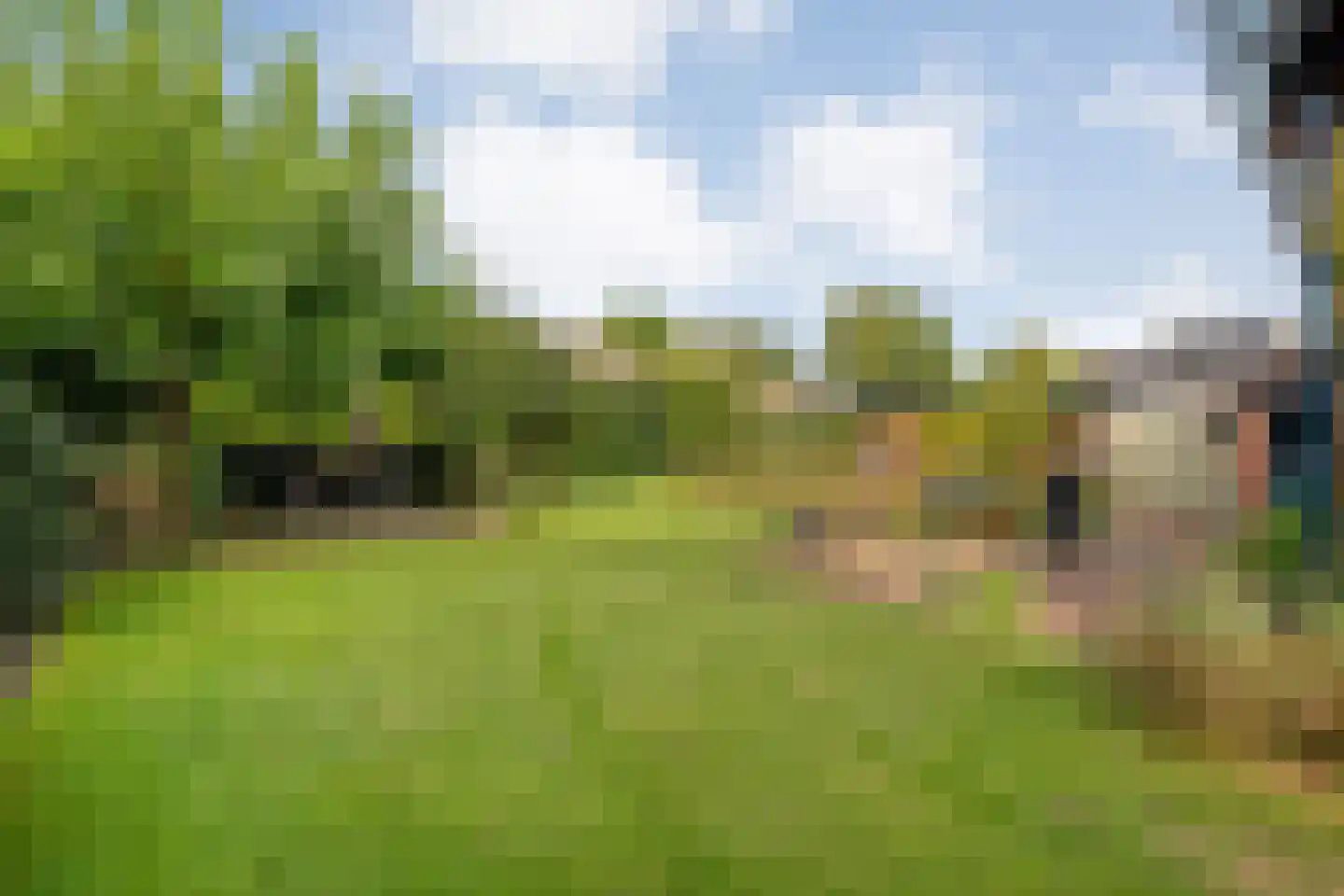 Kon.Julianalaan 81 Nieuwleusen thumbnail 36