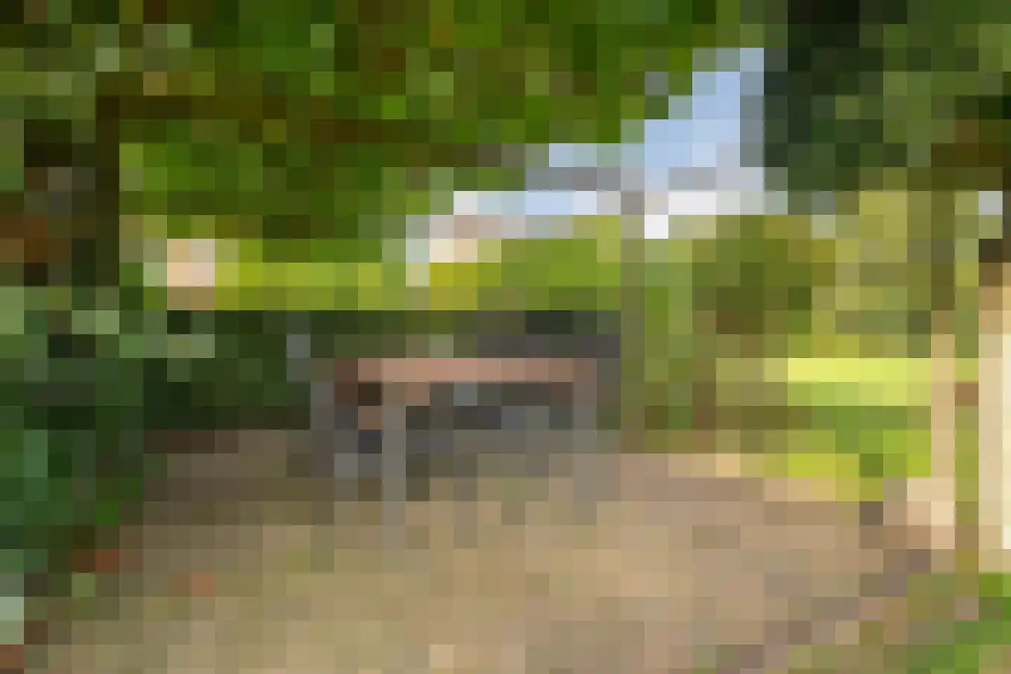 Kon.Julianalaan 81 Nieuwleusen thumbnail 37