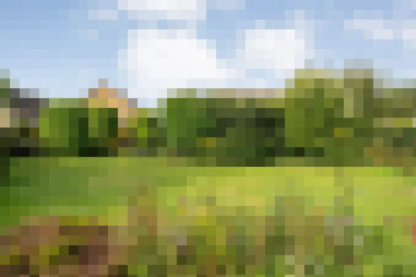 Kon.Julianalaan 81 Nieuwleusen thumbnail 44