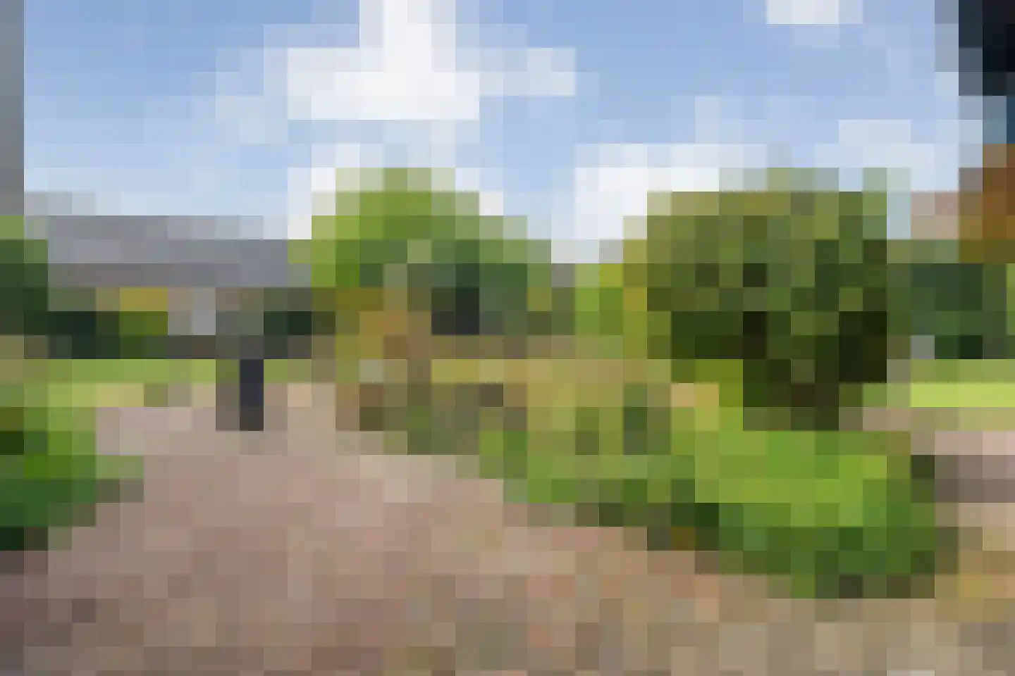 Kon.Julianalaan 81 Nieuwleusen thumbnail 45